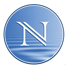 NEFLIN logo