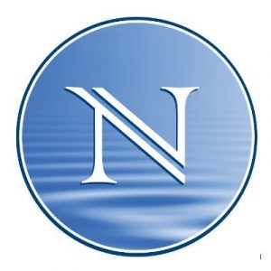 NEFLIN logo