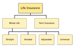 Life Insurance organization chart dividing into whole and term insurance. There are different whole life insurance options: straight, variable, adjustable and universal.